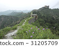 Great Wall, China 31205709