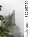 Pine, Huangshan, Anhui, China 31205720