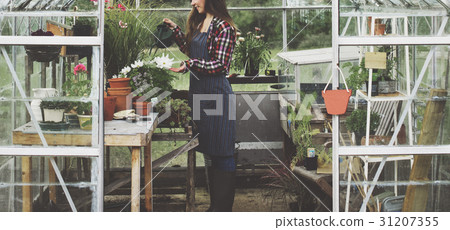 Gardening Cultivate Growth Seedling Plants Concept 31207355