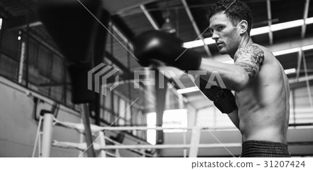 Boxer Boxing Athlete Strong Workout Fighting Concept Boxer Boxing Athlete Strong Workout Fighting Concept 31207424