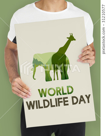 World Wildlife Day Animal Species Environmental World Wildlife Day Animal Species Environmental 31210577