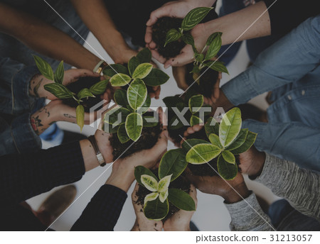 Diverse People Hands Hold Plants Nature 31213057