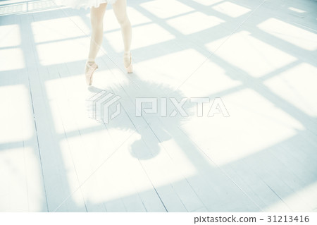 Ballerina lower body 31213416