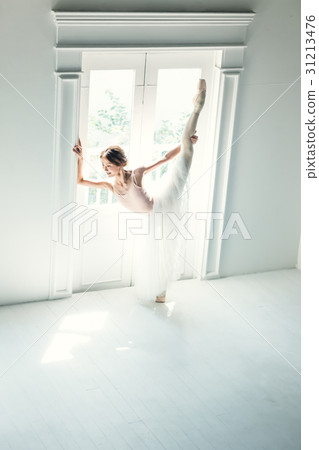 芭蕾舞女演員 31213476