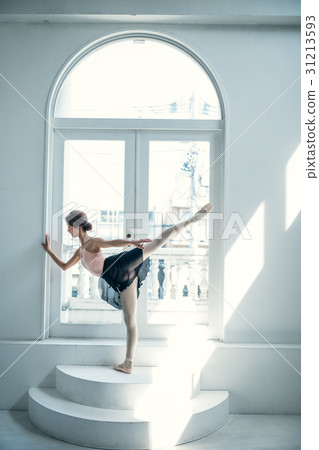 芭蕾舞女演員 31213593
