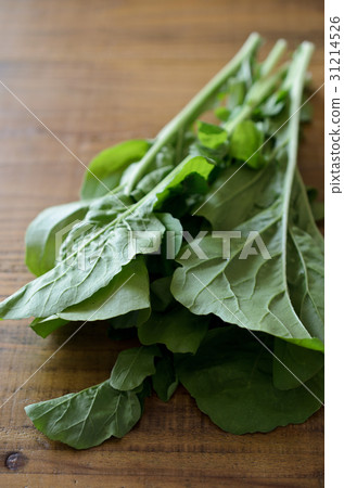arugula arugula 31214526