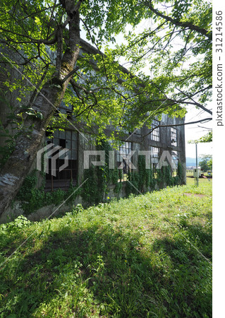 Bungo Forest Collection 31214586