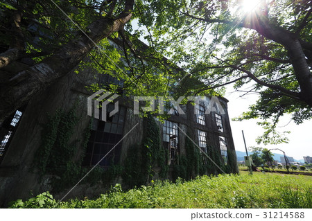 Bungo Forest Collection 31214588