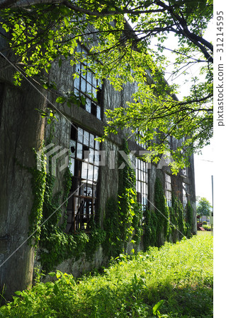 Bungo Forest Collection 31214595