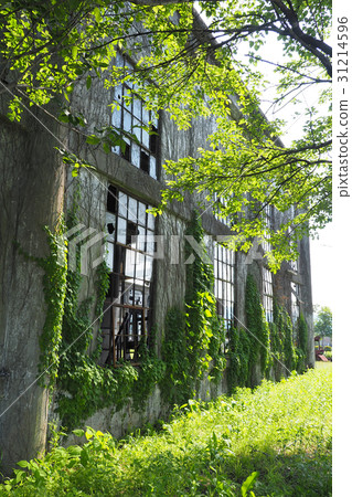 Bungo森林系列 31214596