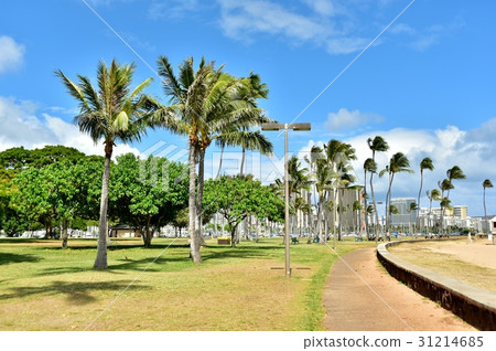 Holidays in Hawaii Holidays in Hawaii 31214685