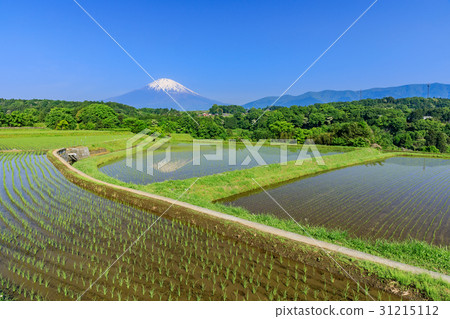 靜岡_富士山反射國家風景 31215112