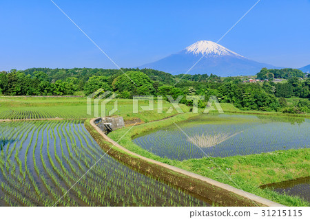 靜岡_富士山反射國家風景 31215115