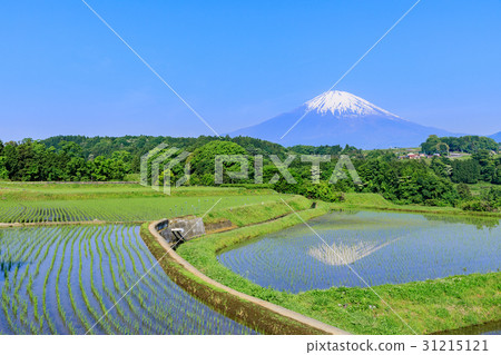 靜岡_富士山反射國家風景 31215121