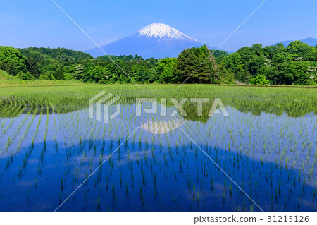 靜岡_富士山反射國家風景 31215126