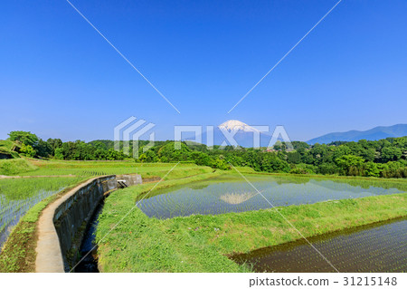 靜岡_富士山反射國家風景 31215148