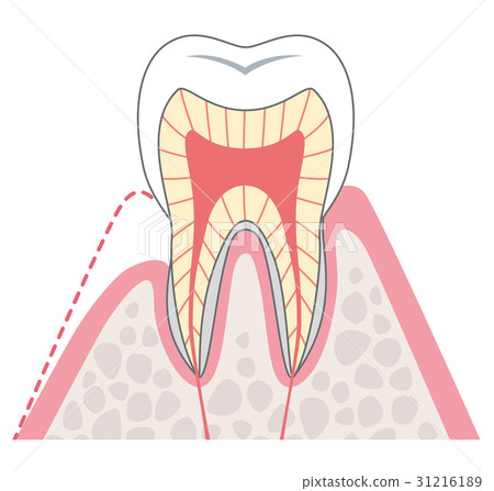 過敏性醫學橫斷面 31216189