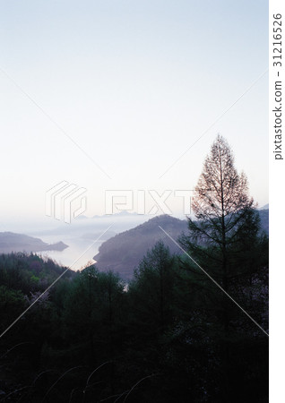 忠州，忠州，忠北 31216526