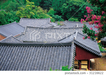 Songgwangsa, Suncheon, Jeonnam 31216622