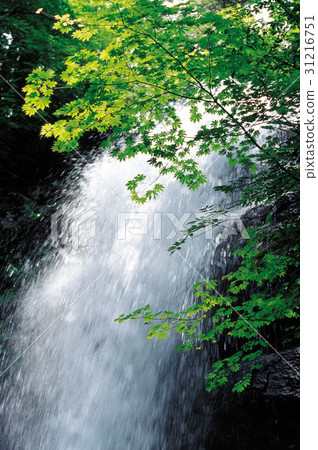 Osong Waterfall, Mt. Esu, Changzhou, Gyeongbuk 31216751