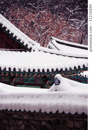 Incheon, Busan, Jeongeup, Jeonbuk Incheon, Busan, Jeongeup, Jeonbuk 31216894