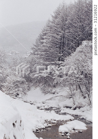 Daegwallyeong, Pyeongchang-gun, Gangwon-do 31216922