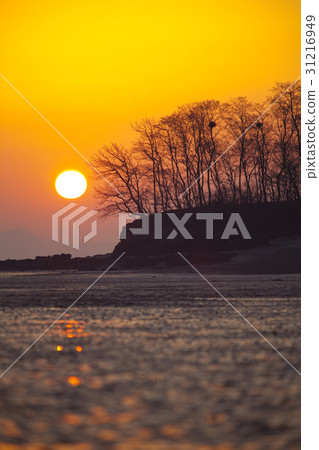 Hwangdo，Anmyeondo，泰安海岸國家公園，泰安郡，忠南 31216949