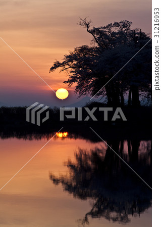 Jangpyeong Reservoir, Moving Area, Namhae County, Gyeongnam Jangpyeong Reservoir, Moving Area, Namhae County, Gyeongnam 31216953