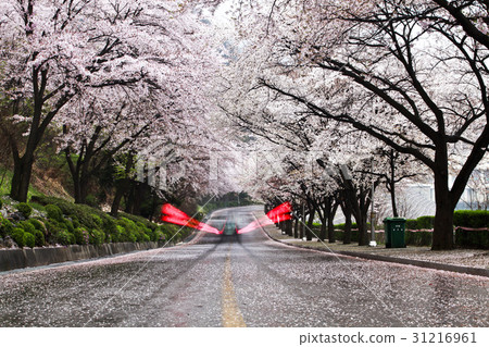 忠州,忠北 忠州,忠北 31216961