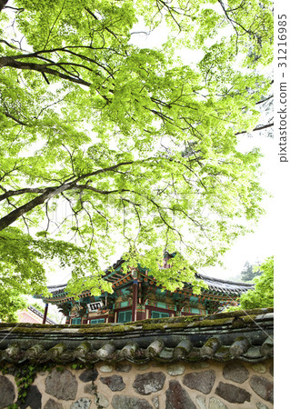 Baekyangsa Temple, Changseong County, Jeonnam Province Baekyangsa Temple, Changseong County, Jeonnam Province 31216985