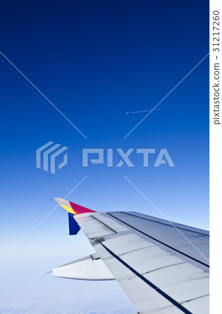 airplane airplane 31217260