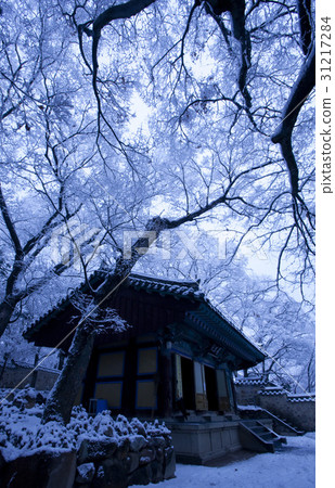 Bulguksa Temple, Gyeongju City, Gyeongbuk Province 31217284