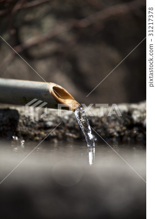 Suwon, Songgwangsa, Suncheon, Jeonnam 31217378