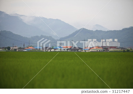 Chungju, Chungbuk Chungju, Chungbuk 31217447