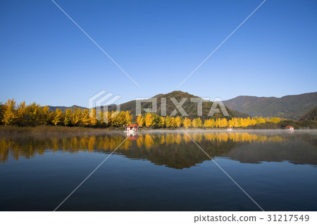 Goesan-gun, Chungbuk 31217549