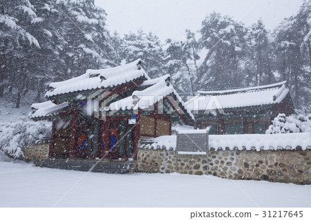 Jeonpyeong, Gangneung, Gangwon-do 31217645