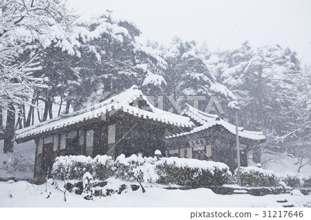 Gyeongpo, Gangneung, Gangwon-do 31217646