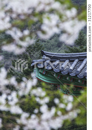 Kim Ryong-sa, Mungyeong-si, Gyeongbuk 31217700