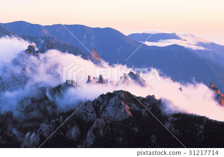 Bumbong, Chunwha University, Dinosaur Ridge, Mt. Sorak, Sokcho, Gangwon-do Bumbong, Chunwha University, Dinosaur Ridge, Mt. Sorak, Sokcho, Gangwon-do 31217714
