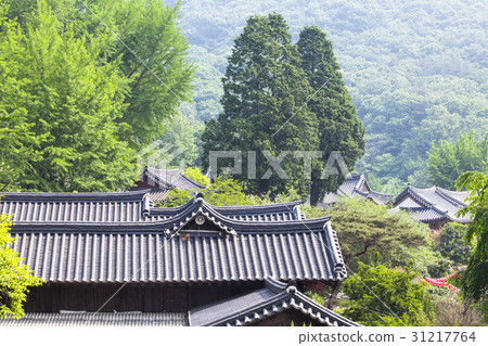 Sunam Temple, Suncheon, Jeonnam 31217764