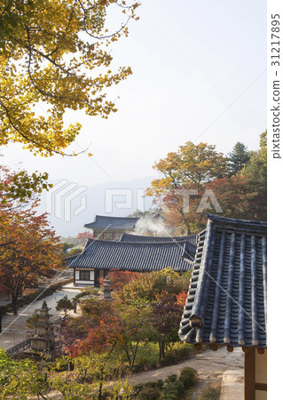Buseok, Youngju, Gyeongbuk Buseok, Youngju, Gyeongbuk 31217895