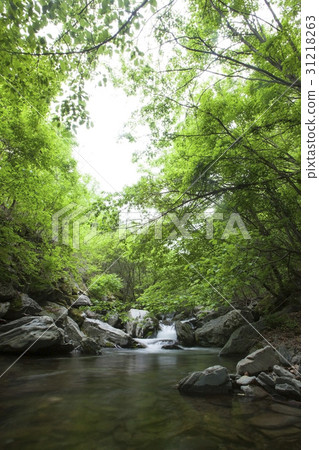 光明山，平昌，江原道 31218263