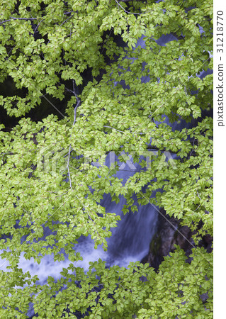 Hwangbang Falls，Sobaeksan，Yeongju，Gyeongbuk 31218770