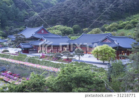 Seonjang,Chungju,Chungbuk Seonjang,Chungju,Chungbuk 31218771