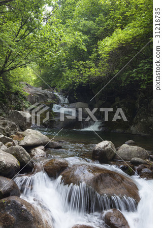 Cheondong谷，Sobaeksan，丹陽，忠北 31218785