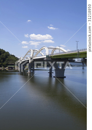 忠武市忠州市南山河塘光大橋 31218950