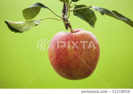 Apple Apple 31219059