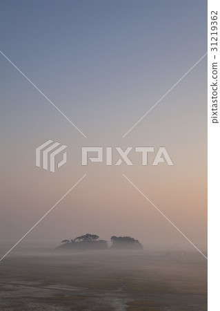 Suseum，Wooshin-do，Hwaseong-si，Gyeonggi-do 31219362