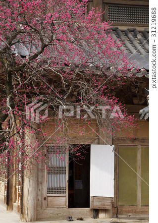 Hwacheom Temple (Historic Site No. 505), Jiri Mountain, Gurye-gun, Jeonnam 31219688