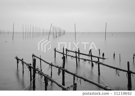 Haenam-gun, Jeonnam Haenam-gun, Jeonnam 31219692